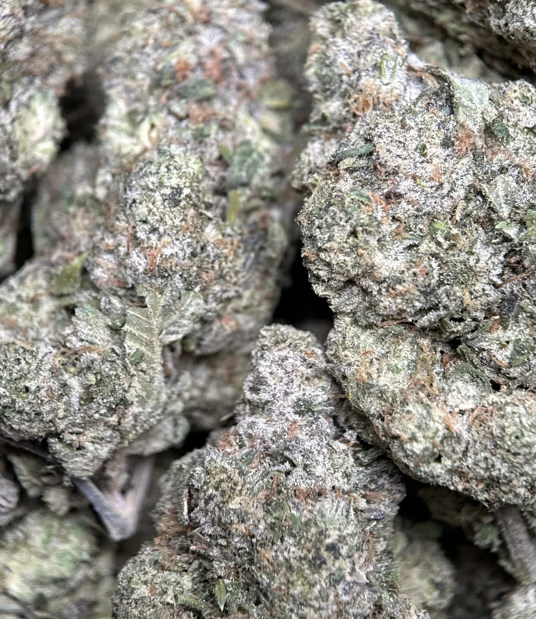 Blue City Diesel photo 5
