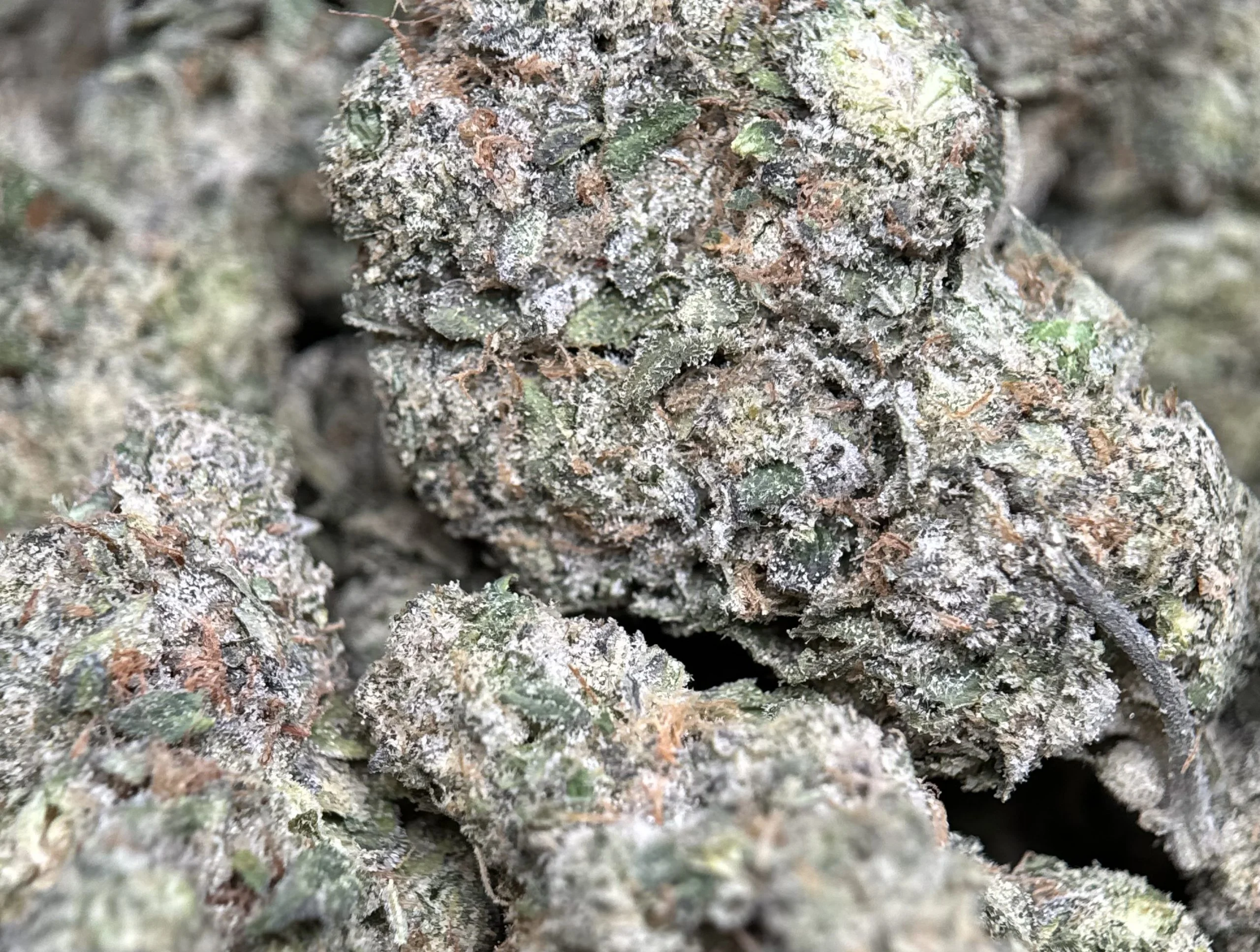 Blue City Diesel photo 6