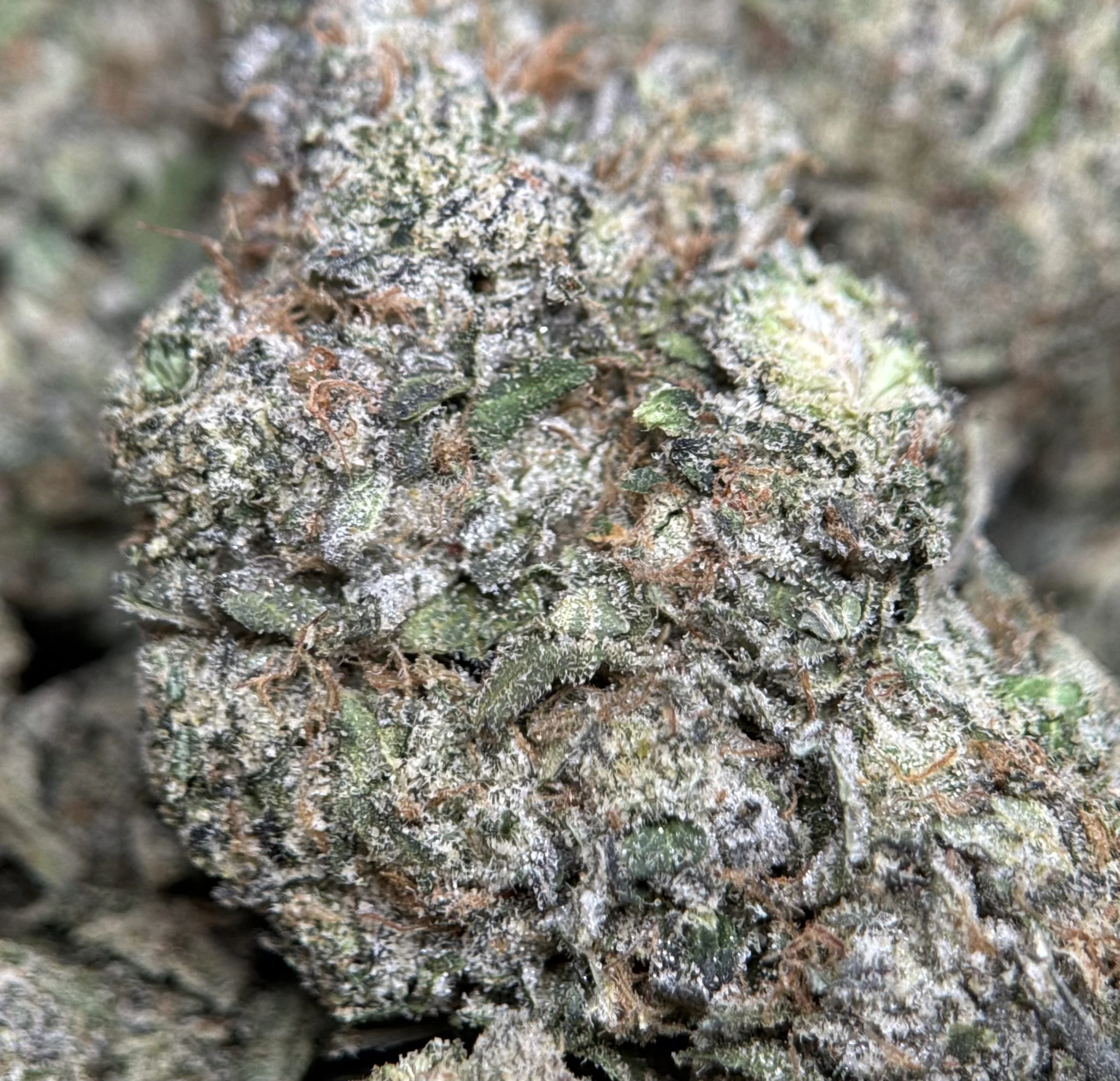 Blue City Diesel photo 7