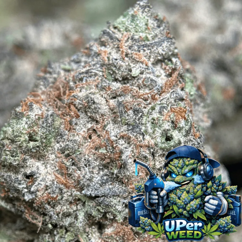 Blue Diesel