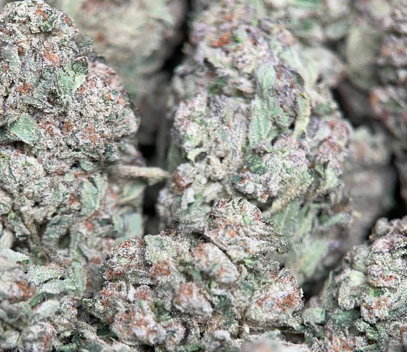 Blue Dream photo 4