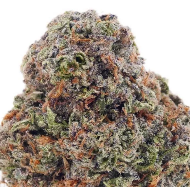Bruce Banner photo 2