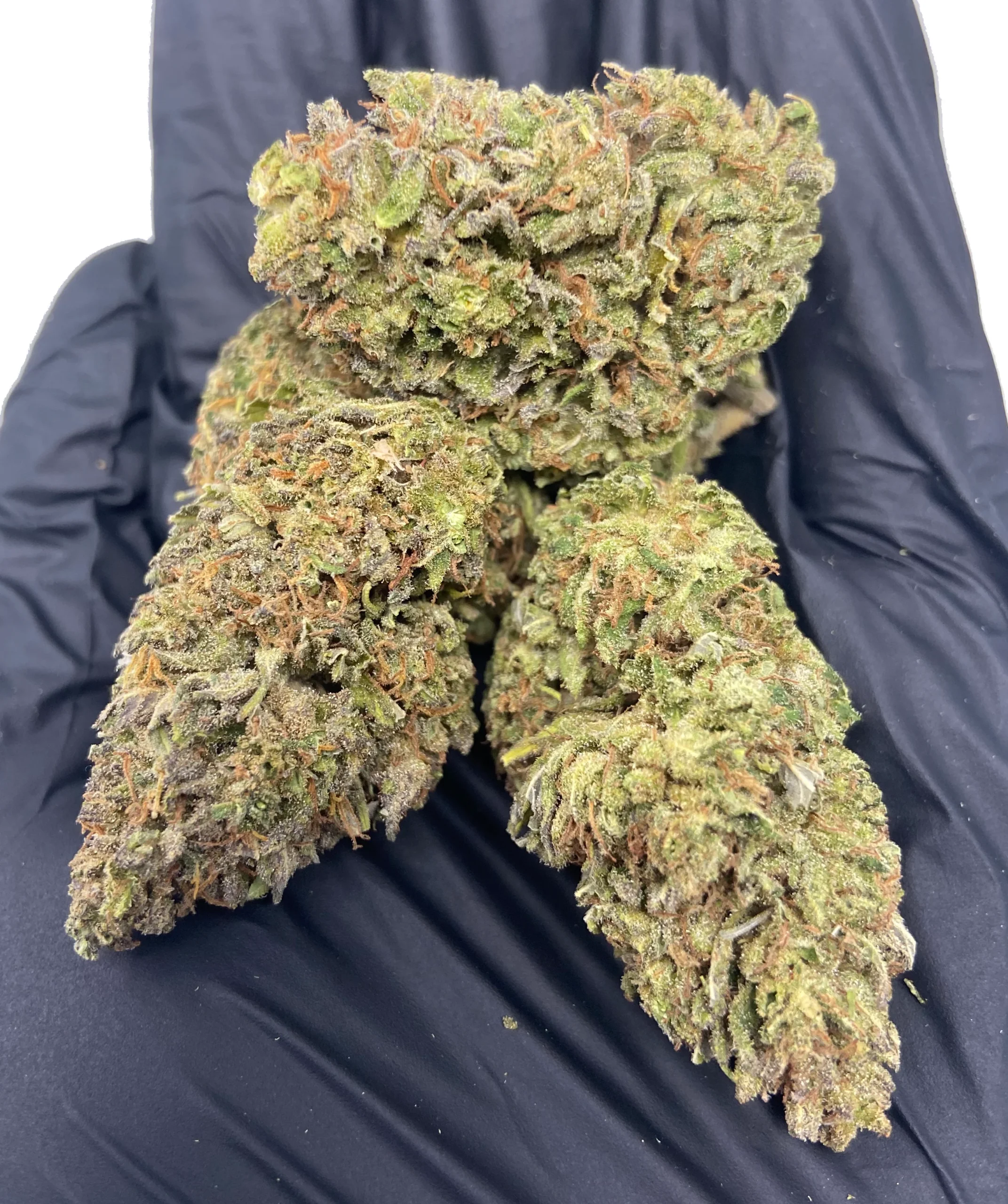 Candy Jack