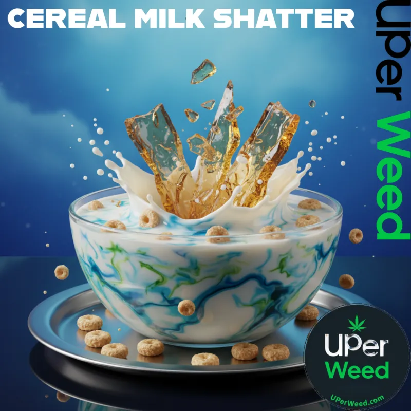 Cereal Milk Shatter