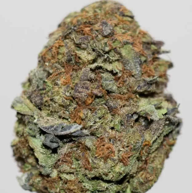 Cherry Pie photo 1