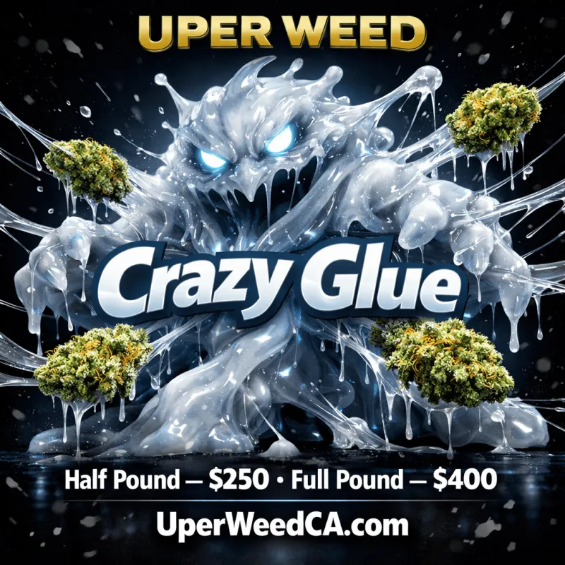 Crazy Glue