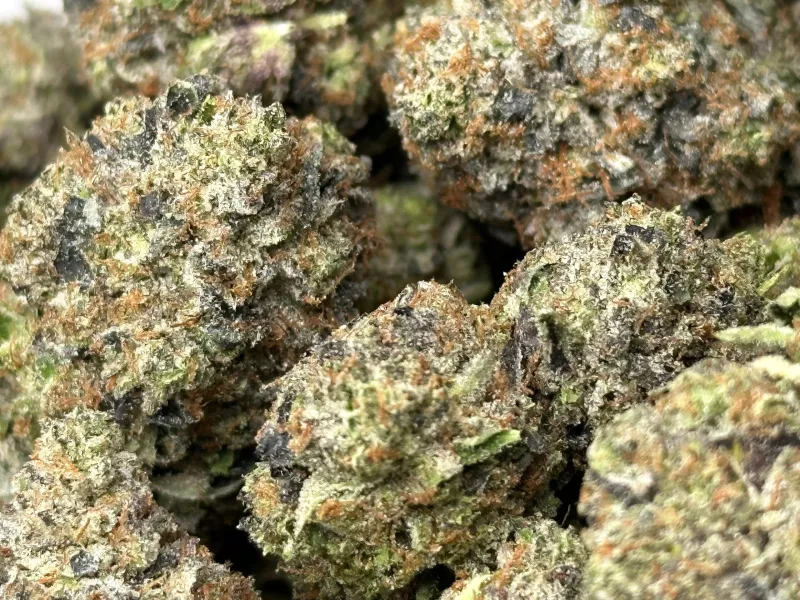 Death Row OG photo 2
