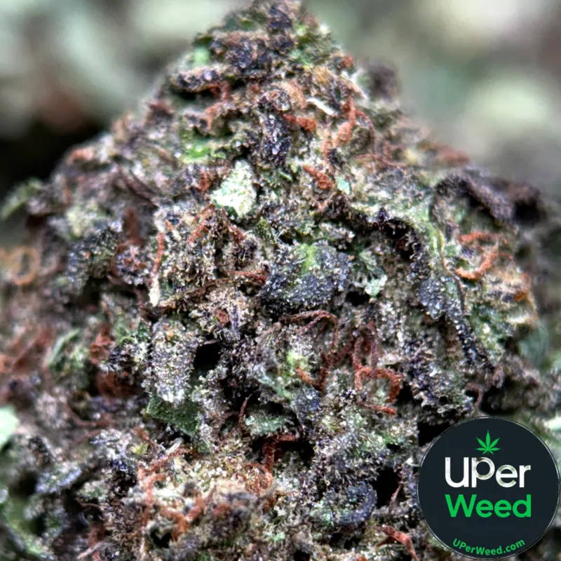 Death Star