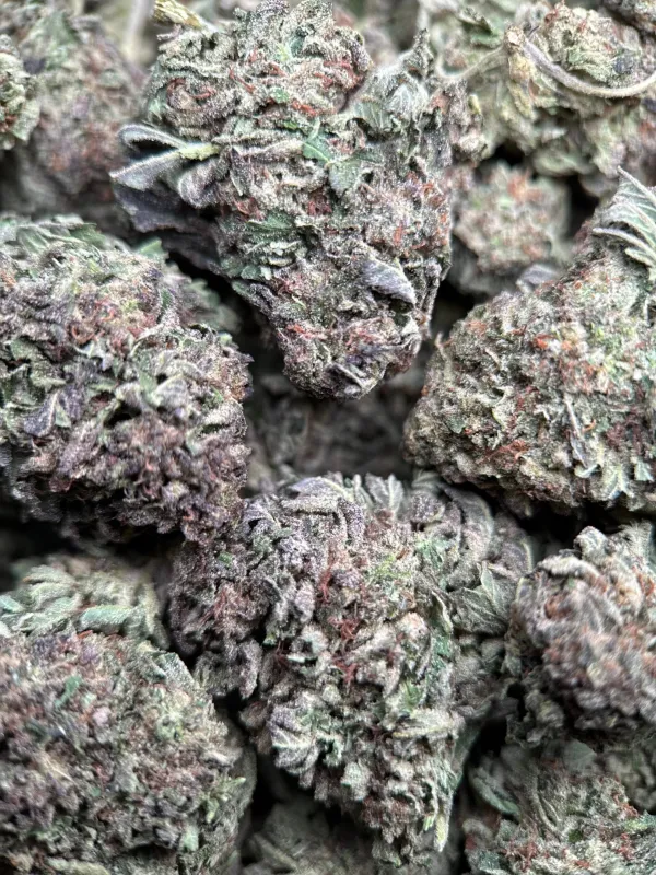 Death Star photo 3