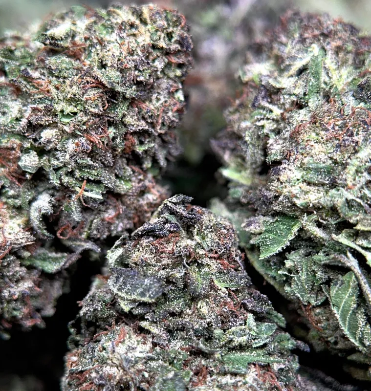 Death Star photo 4