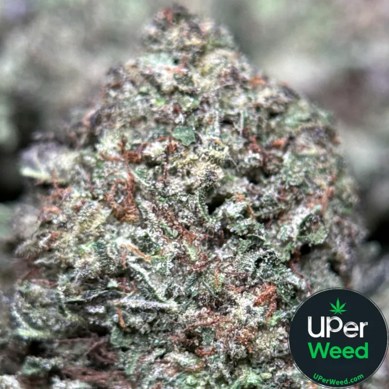 Death Star photo 7