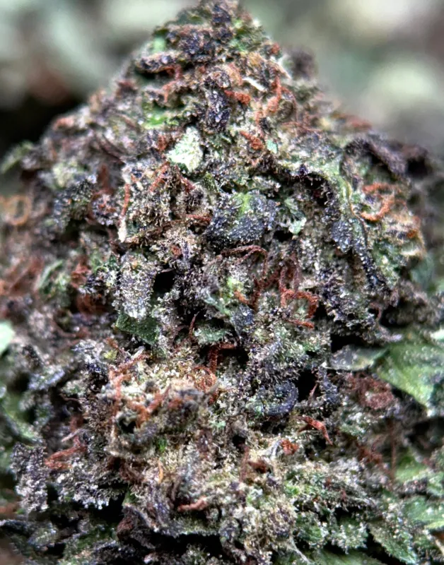 Death Star photo 8