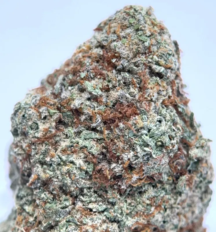 Death Walker OG photo 4
