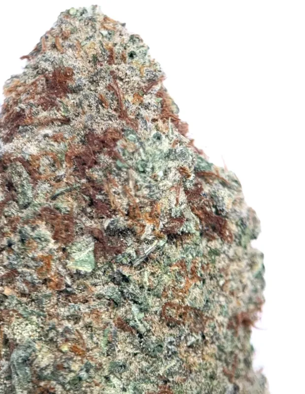 Death Walker OG photo 5