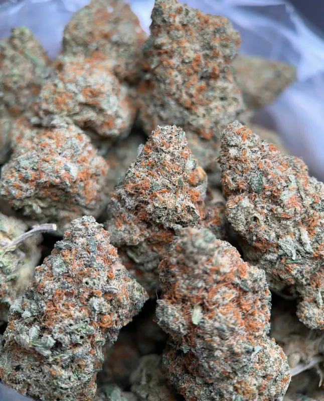 Dragon Haze photo 2