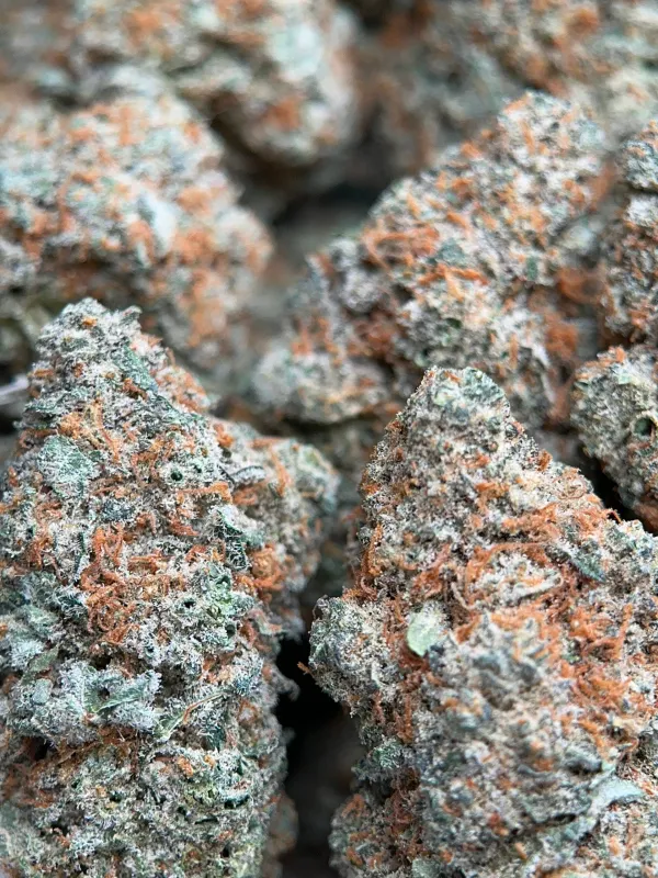 Dragon Haze photo 6