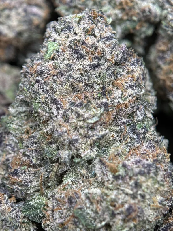 Dynamite Diesel photo 10