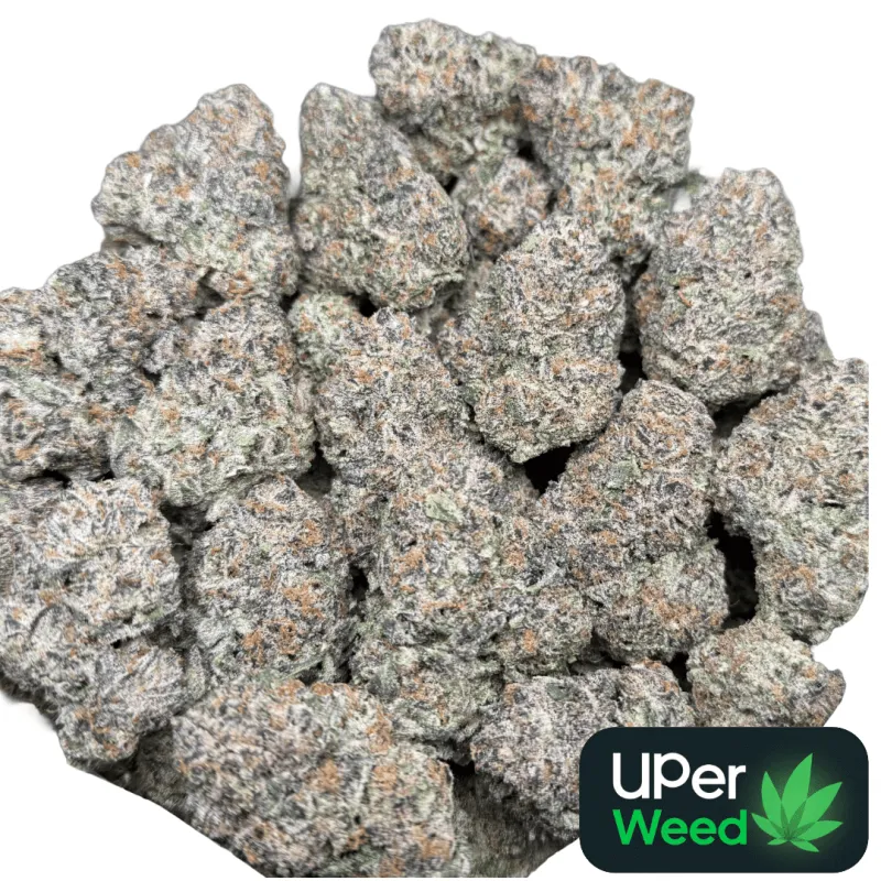 Dynamite Diesel photo 12