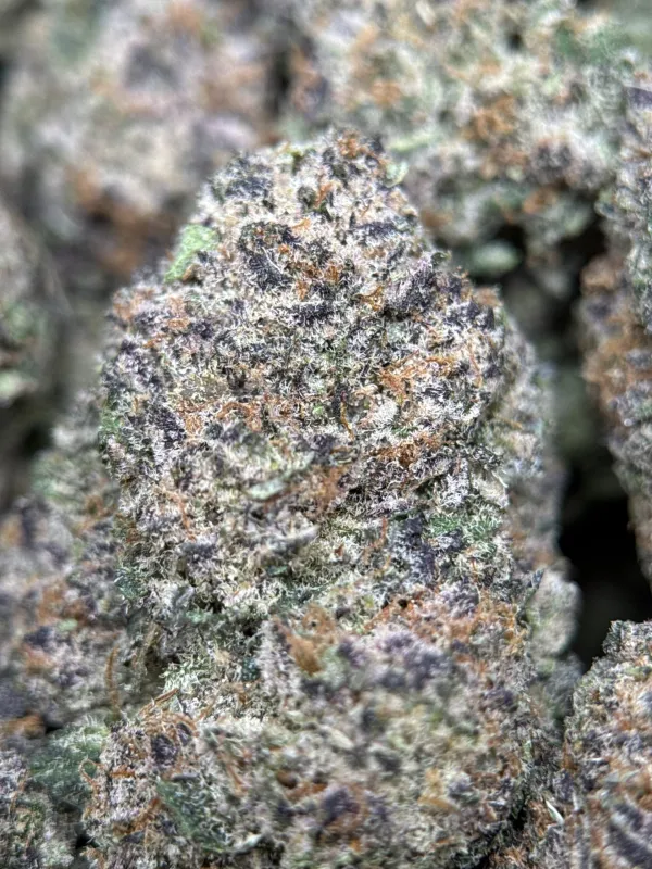 Dynamite Diesel photo 13