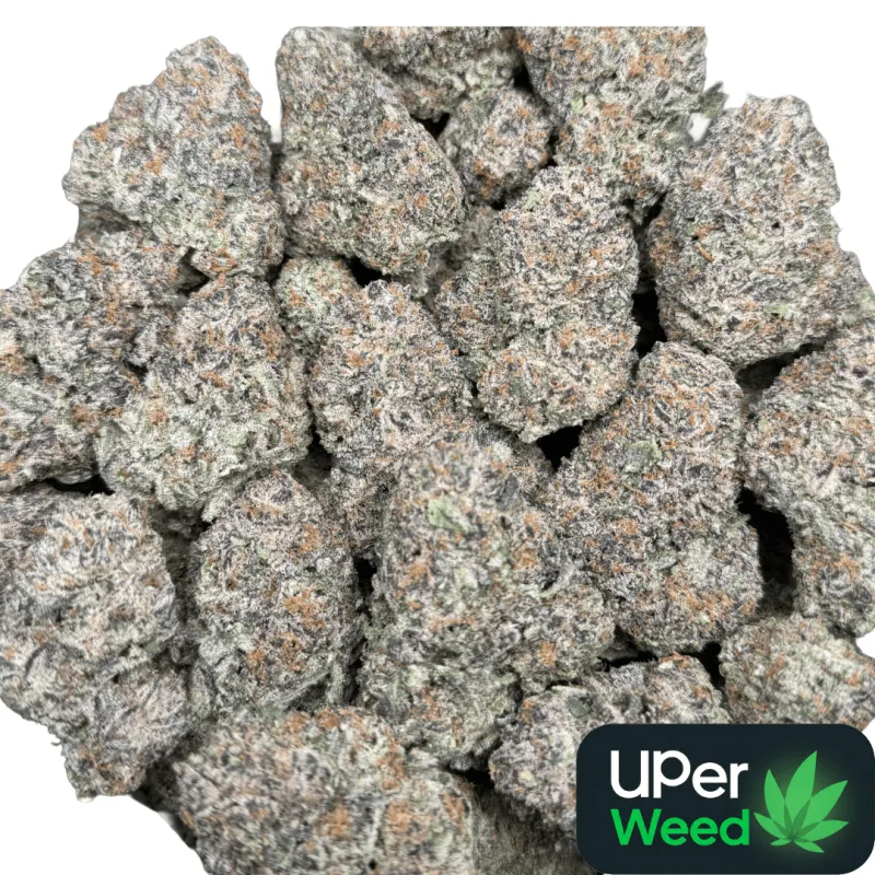 Dynamite Diesel photo 14