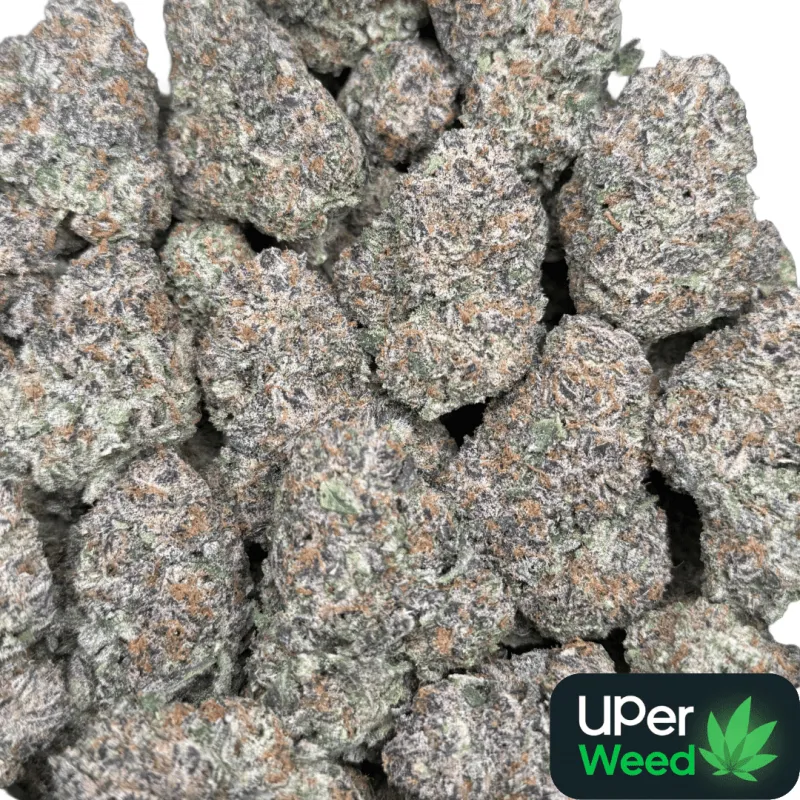 Dynamite Diesel photo 15