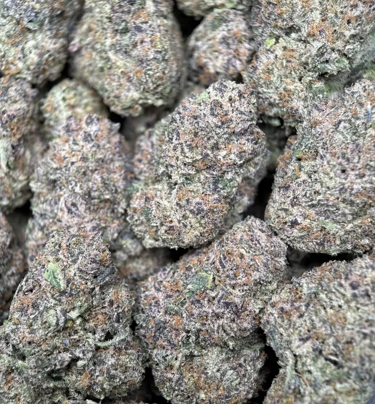 Dynamite Diesel photo 3