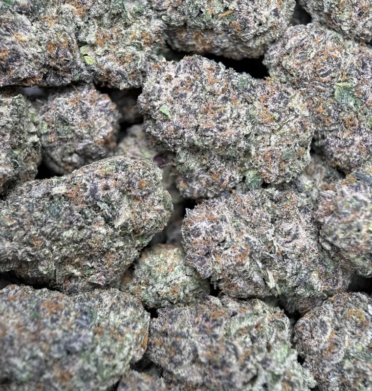 Dynamite Diesel photo 4