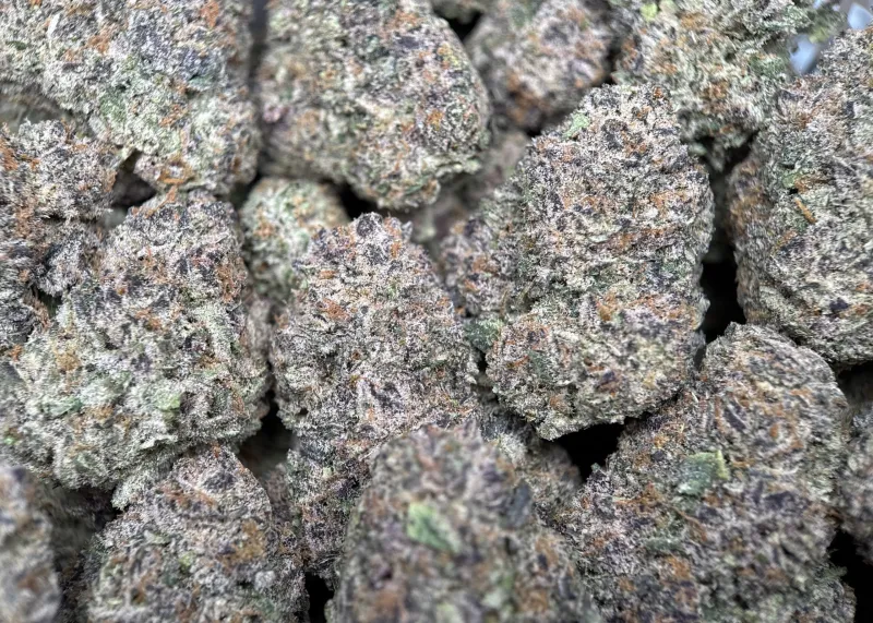 Dynamite Diesel photo 5