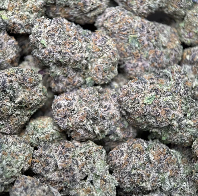 Dynamite Diesel photo 8