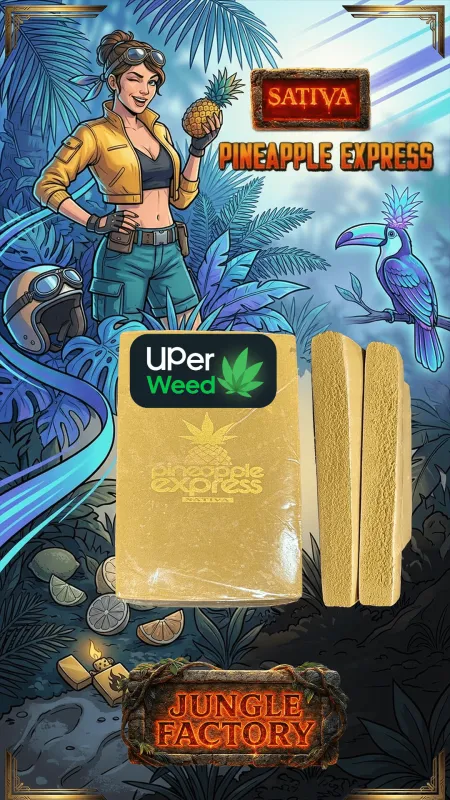 ESCOBAR Hash photo 11