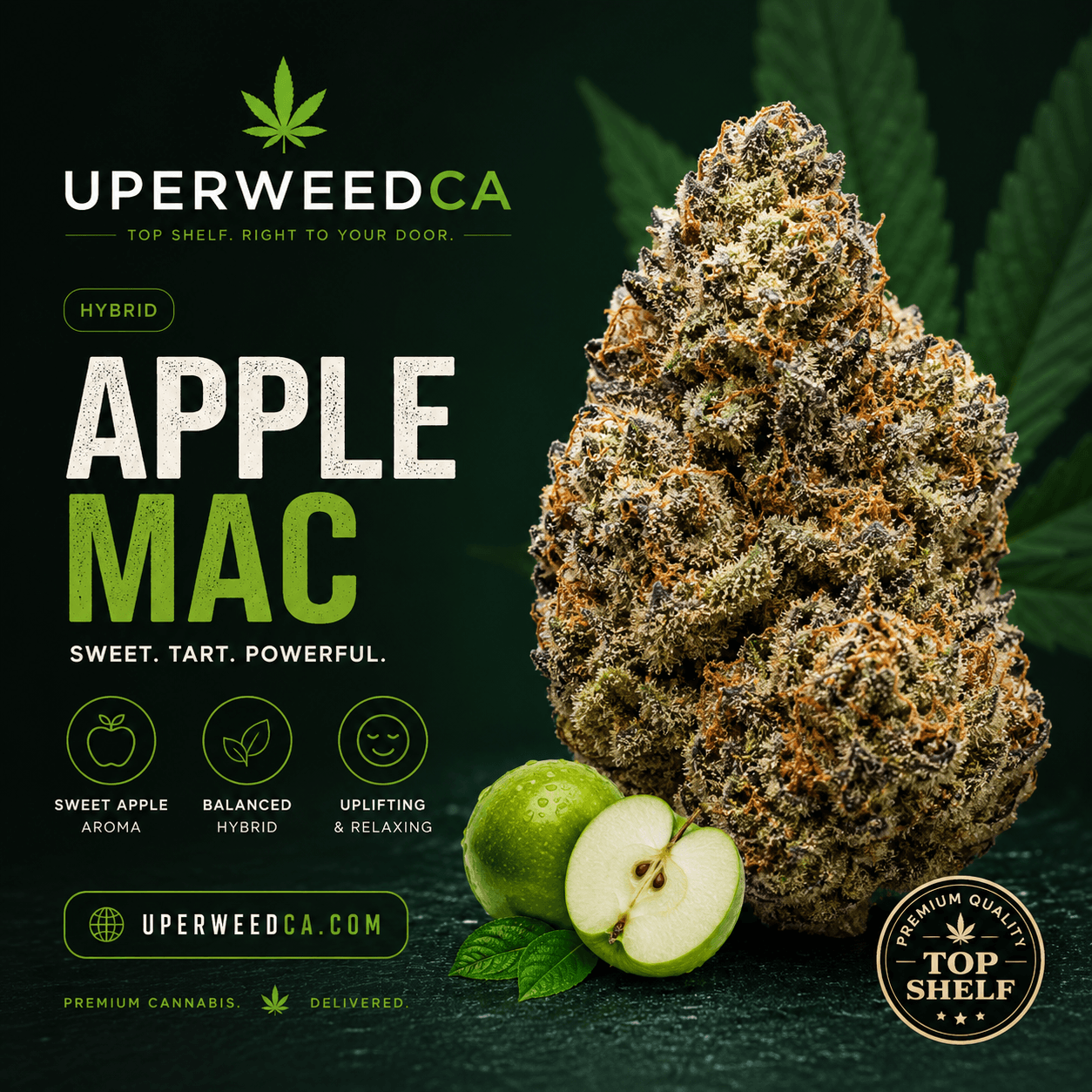 Apple MAC Hybrid