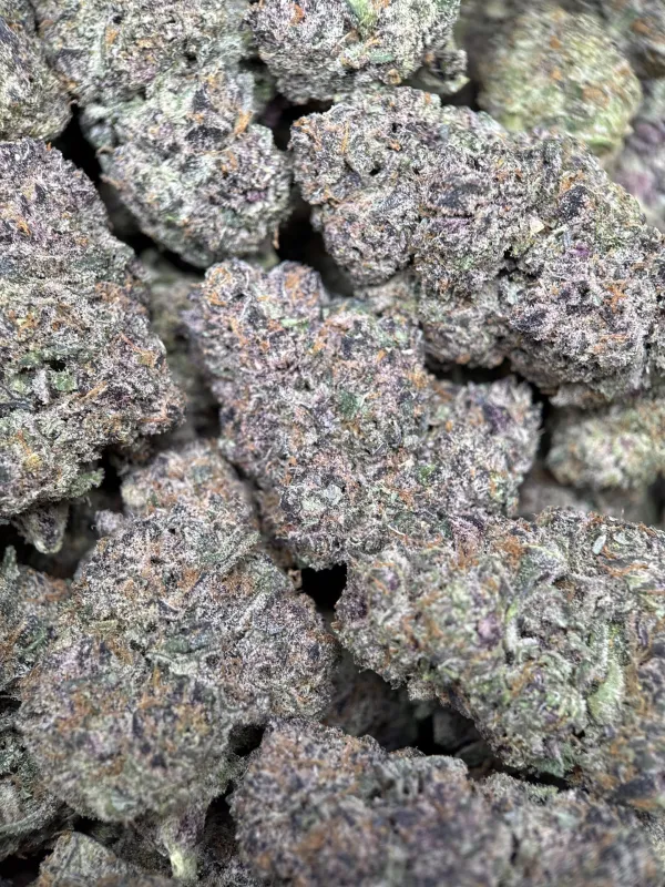 Forbidden Diesel photo 10