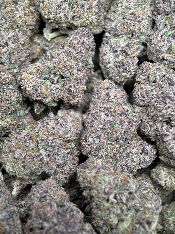 Forbidden Diesel photo 11