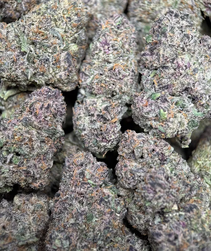 Forbidden Diesel photo 12