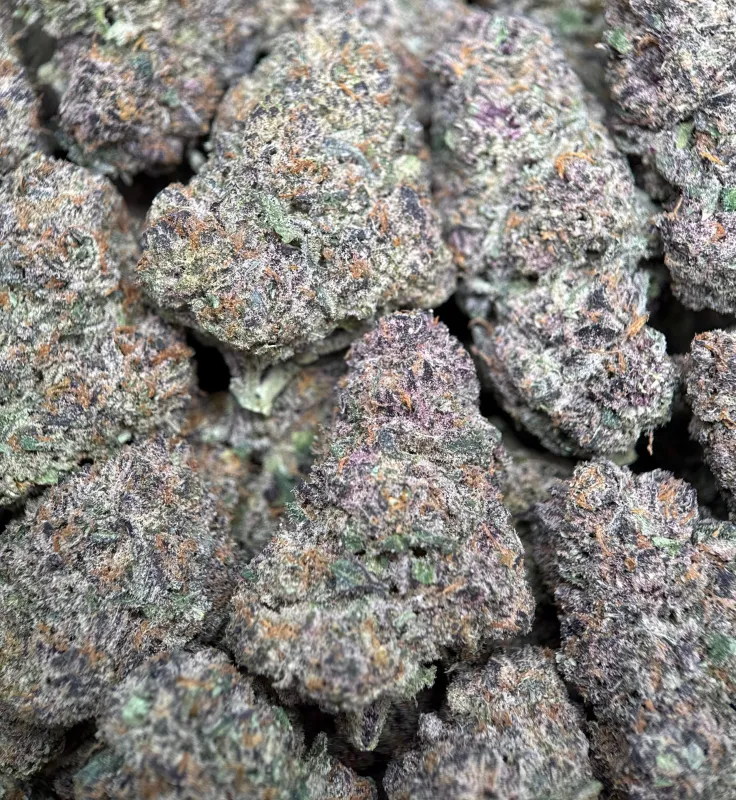 Forbidden Diesel photo 13