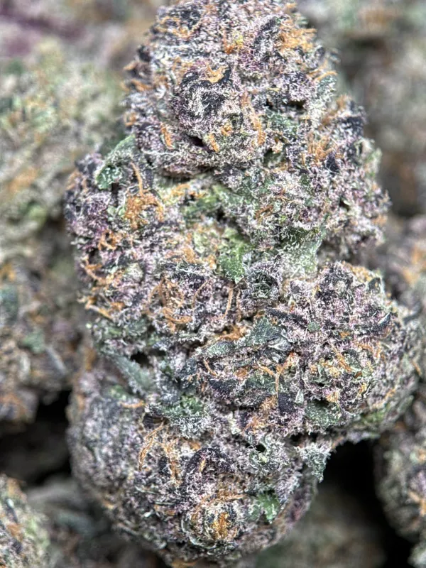 Forbidden Diesel photo 2