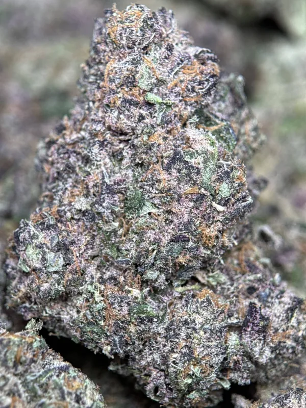 Forbidden Diesel photo 4
