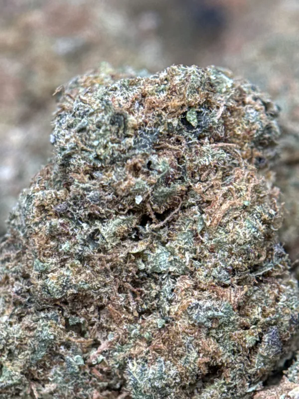G13 Haze photo 2