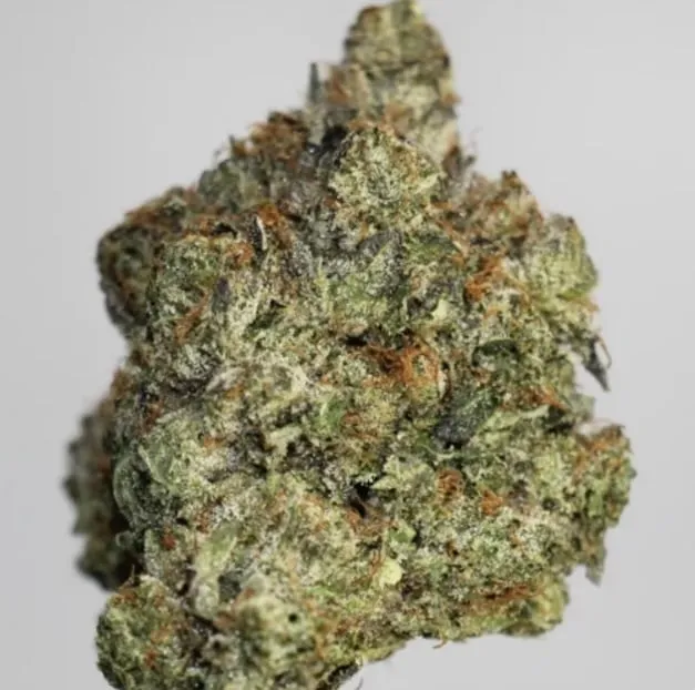 Godfather OG