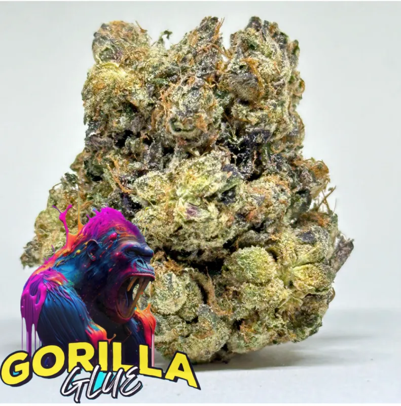 Gorilla Glue Indica - THC 31.74% | 2Oz Bulk Deal for $180 photo 1