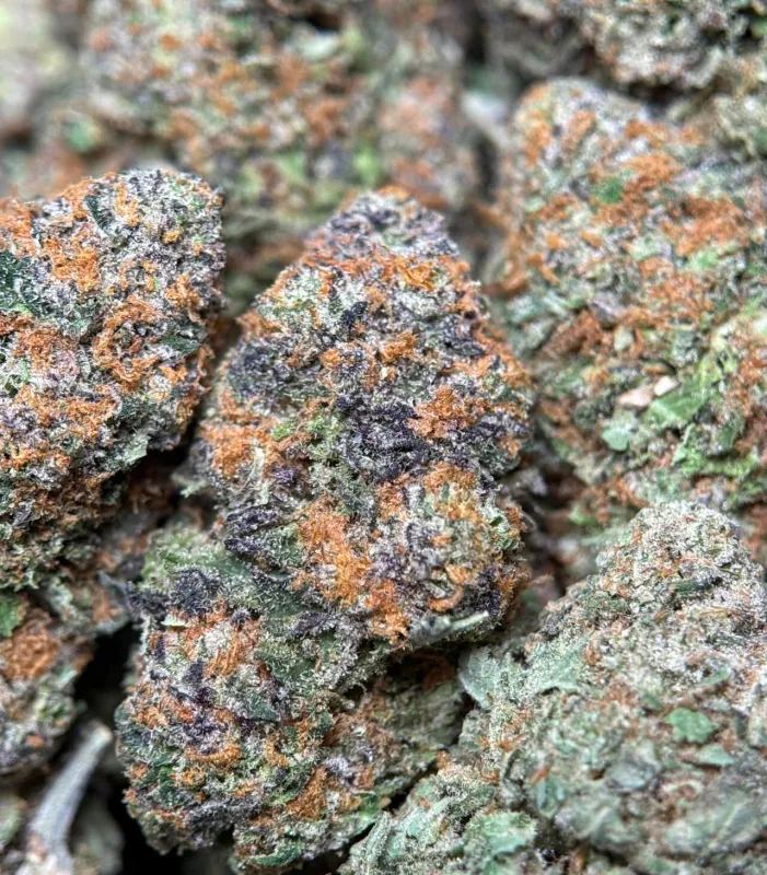 Alien Candy Kush photo 2