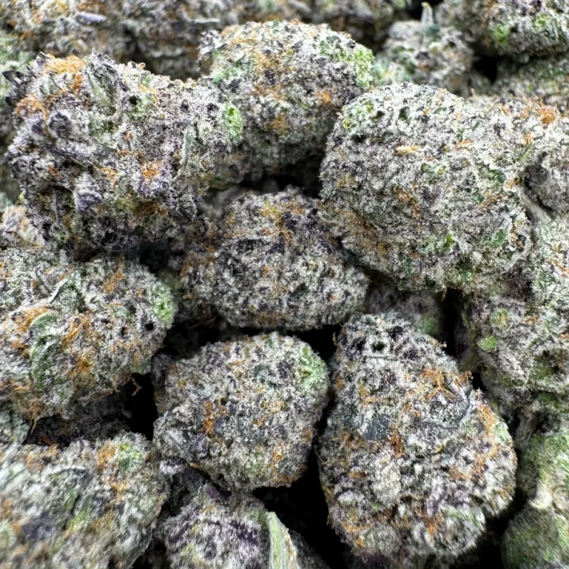 Jack Herer photo 2