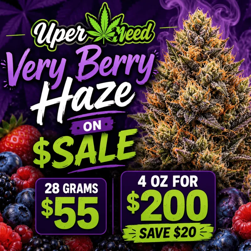 Very Berry Haze