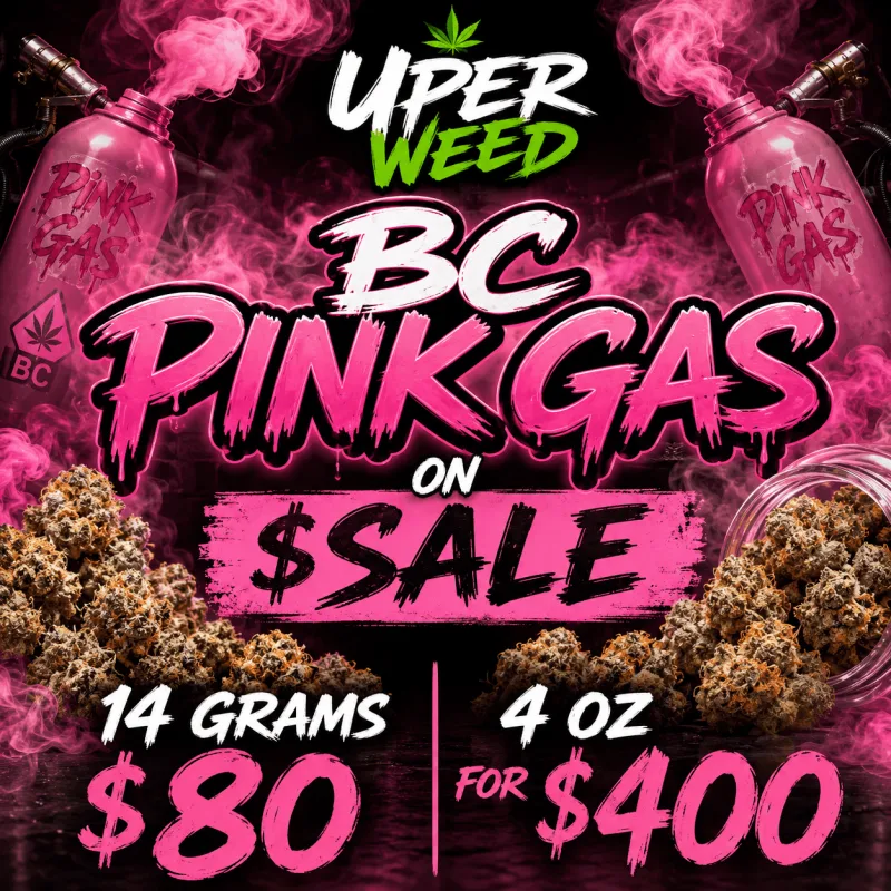 BC Pink Gas