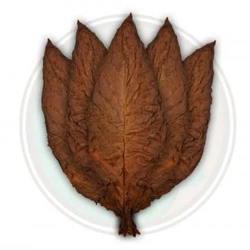 Red Rose Grabba