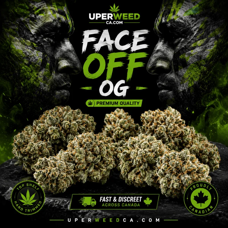 Face Off OG