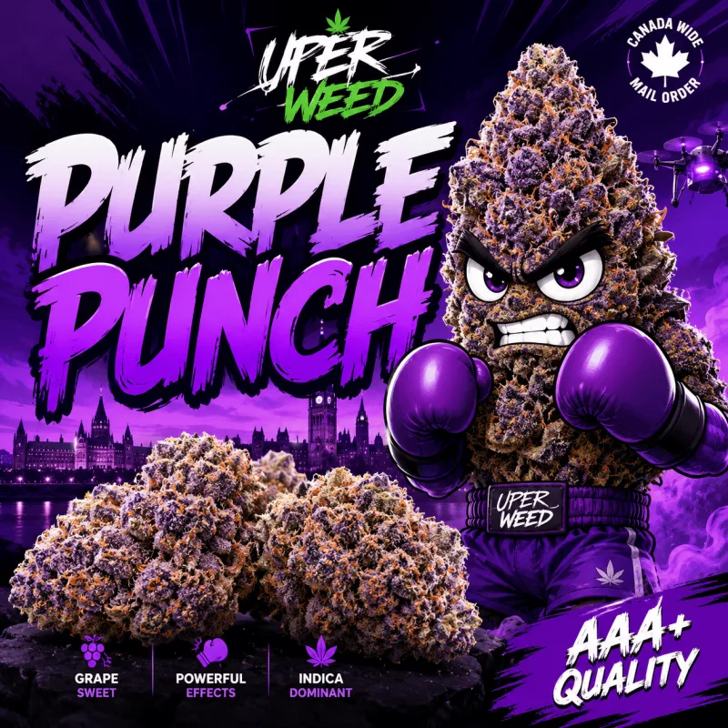 Purple Punch