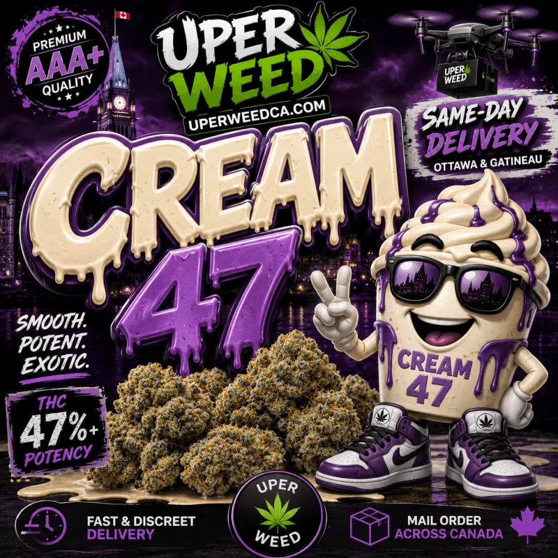 Cream 47