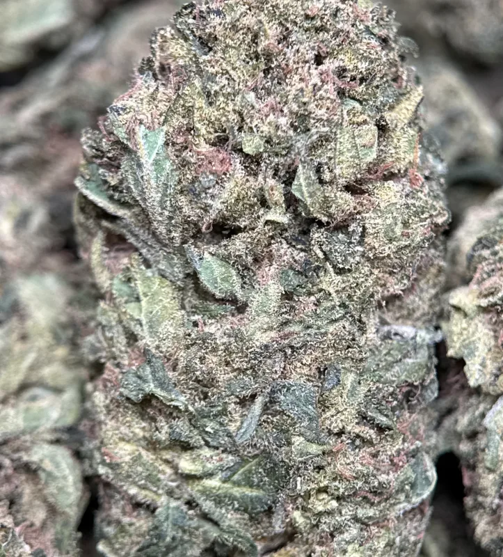 Pink Candy photo 2