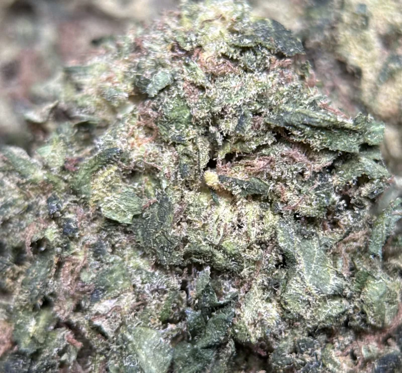 Pink Candy photo 3